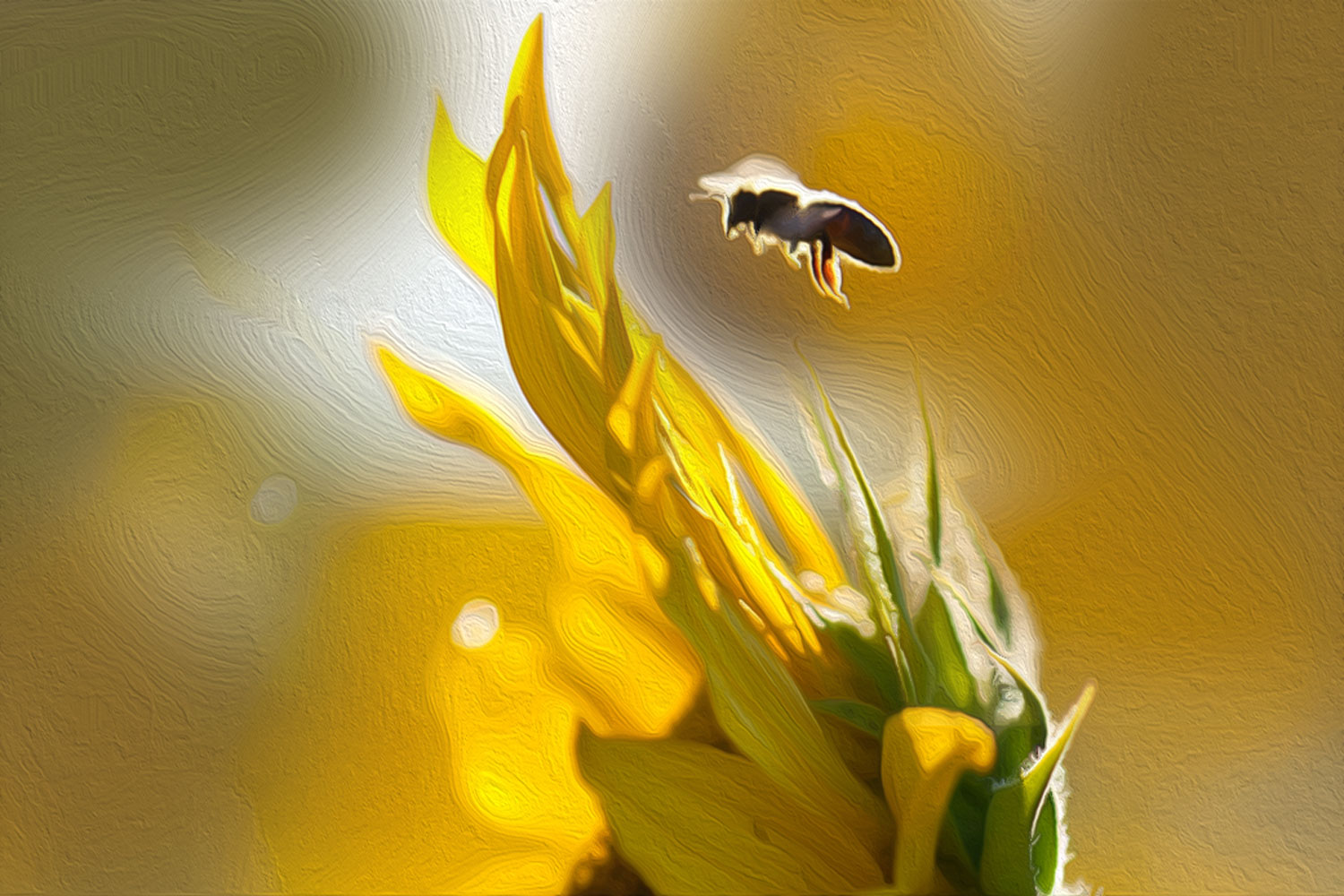 Willst Du Gottes Wunder sehen, musst Du zu den Bienen gehen.